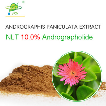 Andrographis Paniculata Extract 10.0%Andrographolide