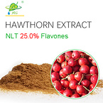 Hawthorn Extract Powder