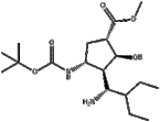 (1S,2S,3S,4R)-Methyl3-((R)-1-aMino-2-ethylbutyl)-4-(tert-butoxycarbonylaMino)-2-hydroxycyclopentanec