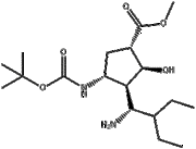 (1S,2S,3S,4R)-Methyl3-((R)-1-aMino-2-ethylbutyl)-4-(tert-butoxycarbonylaMino)-2-hydroxycyclopentanec