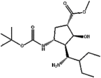 (1S,2S,3S,4R)-Methyl3-((R)-1-aMino-2-ethylbutyl)-4-(tert-butoxycarbonylaMino)-2-hydroxycyclopentanec