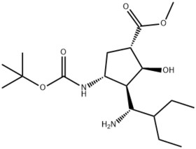 (1S,2S,3S,4R)-Methyl3-((R)-1-aMino-2-ethylbutyl)-4-(tert-butoxycarbonylaMino)-2-hydroxycyclopentanec