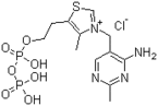 cocarboxylase