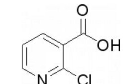 2-chloronicotinic acid