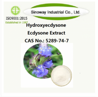 95%-98% up  Hydroxyecdysone；Ecdysone Extract Β-Ecdysone 5289-74-7
