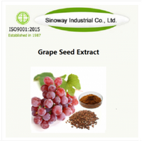 Grape Seed Extract Polyphenols 95% by UV , OPC(Oligomeric Proantho Cyanidins) 95% by UV