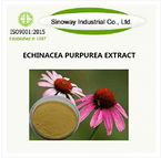 Phenols ≥ 4% , USP42 ECHINACEA PURPUREA EXTRACT