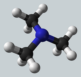 Trimethylamine