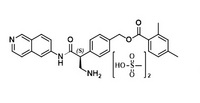 [4-[(1S)-1-(aminomethyl)-2-(6-isoquinolinylamino)-2-oxoethyl]phenyl]methyl ester, methanesulfonate (