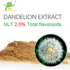 Dandelion Extract Powder