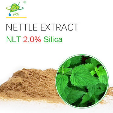 Nettle Extract Powder