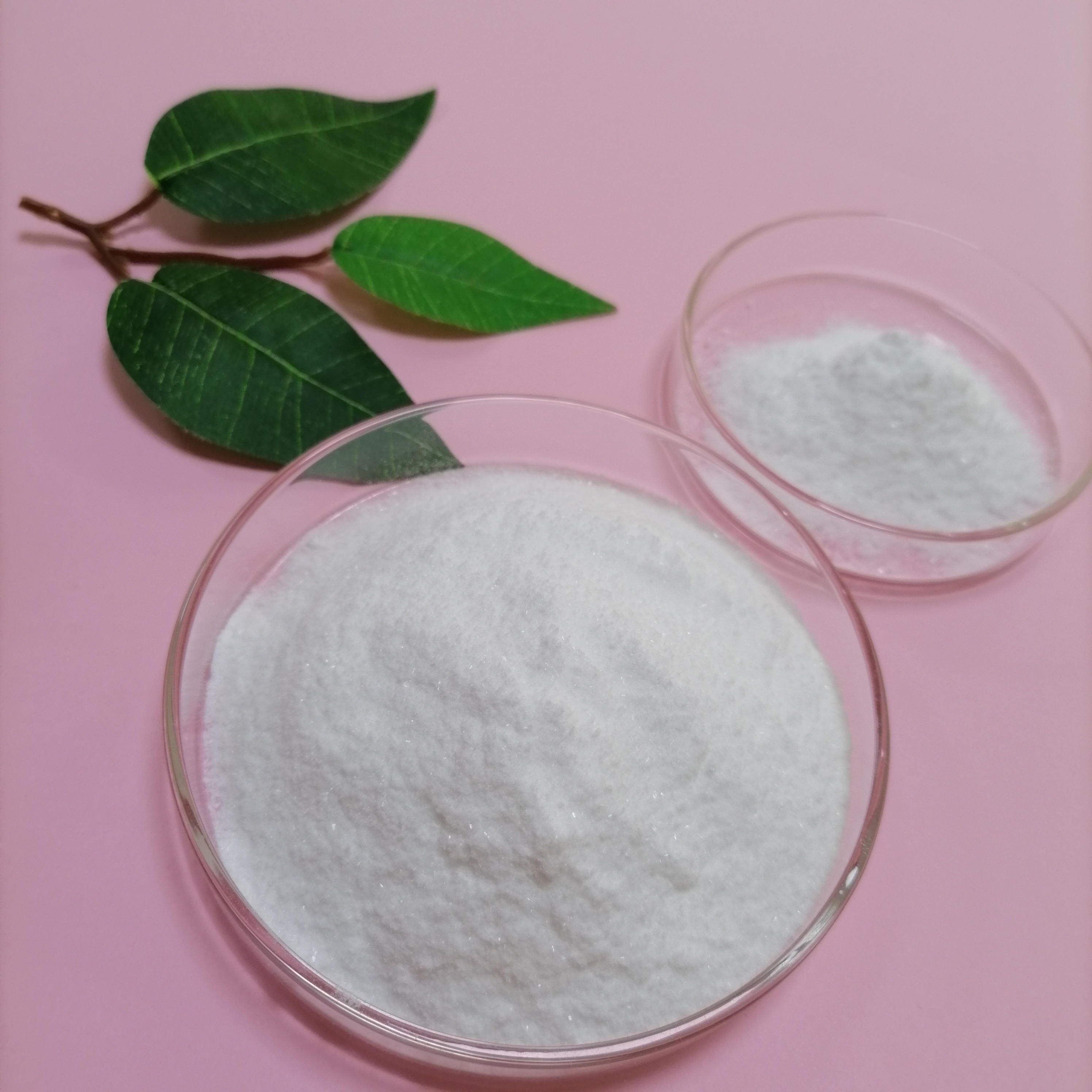 wholesale benzocaine CAS 94-09-7 Local anesthesia  