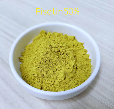 Cotinus coggygria extract  Fisetin /  Purity high quality Fisetin powder suppliers