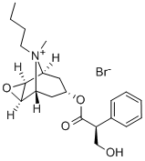 Hyoscine n butyl bromide丁溴东莨菪碱