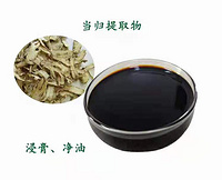 Angelica extract --Angelica seed oil