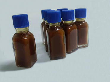 Angelica extract --Angelica seed oil