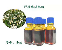 Wild Rose (Spur Flower) Extract