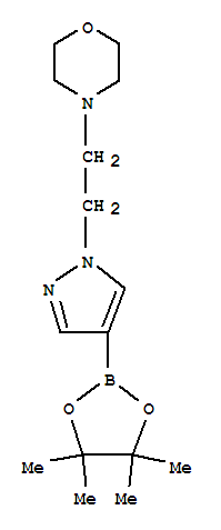 Morpholine,4-[2-[4-(4,4,5,5-tetramet