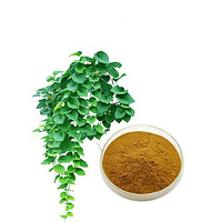 Ivy extract