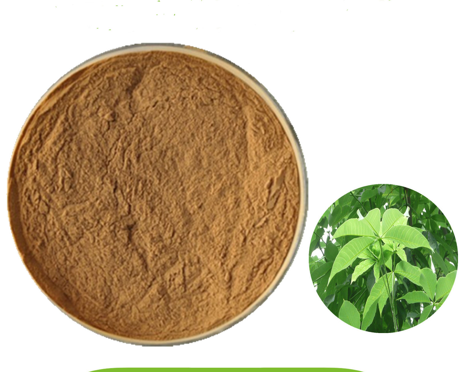 Proidra Horse Chestnut extract