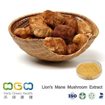 Lion's Mane Mushroom Extract