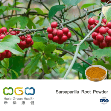 Sarsaparilla Root Powder