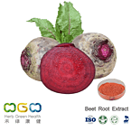 Beet Root Extract