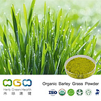 Organic Barley Grass Powder