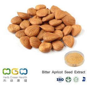 Bitter Apricot Seed Extract