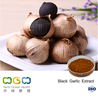 Black Garlic Extract