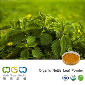 Organic Nettle Leaf Powder