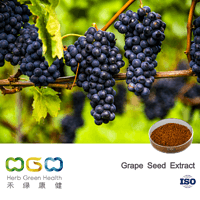 Grape Seed Extract