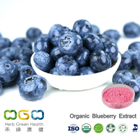 Organic Blueberry Extract