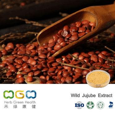 Wild Jujube Extract