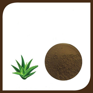 Aloe extract