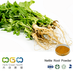 Nettle Root Powder