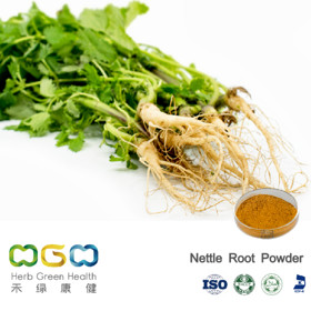 Nettle Root Powder