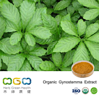 Organic Gynostemma Extract