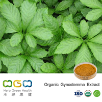 Organic Gynostemma Extract
