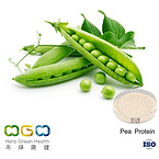 Pea Protein