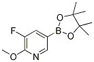 3-Fluoro-2-methoxy-5-(4,4,5,5-tetramethyl-1,3,2-dioxaboroian-2-yl)pyridine