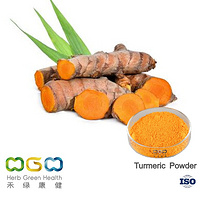 Turmeric Powder