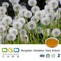 Mongolian Dandelion Herb Extract