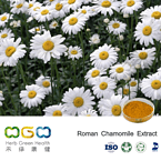 Roman Chamomile Extract