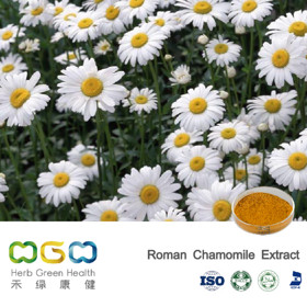 Roman Chamomile Extract