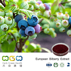 European Bilberry Extract