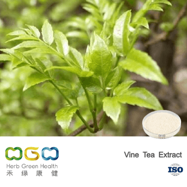 Vine Tea Extract