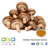 Shiitake Mushroom Extract