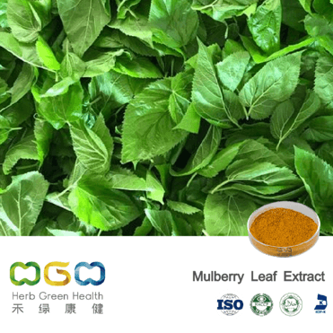 Mulberry Leaf Extract