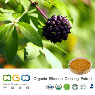 Organic Siberian Ginseng Extract